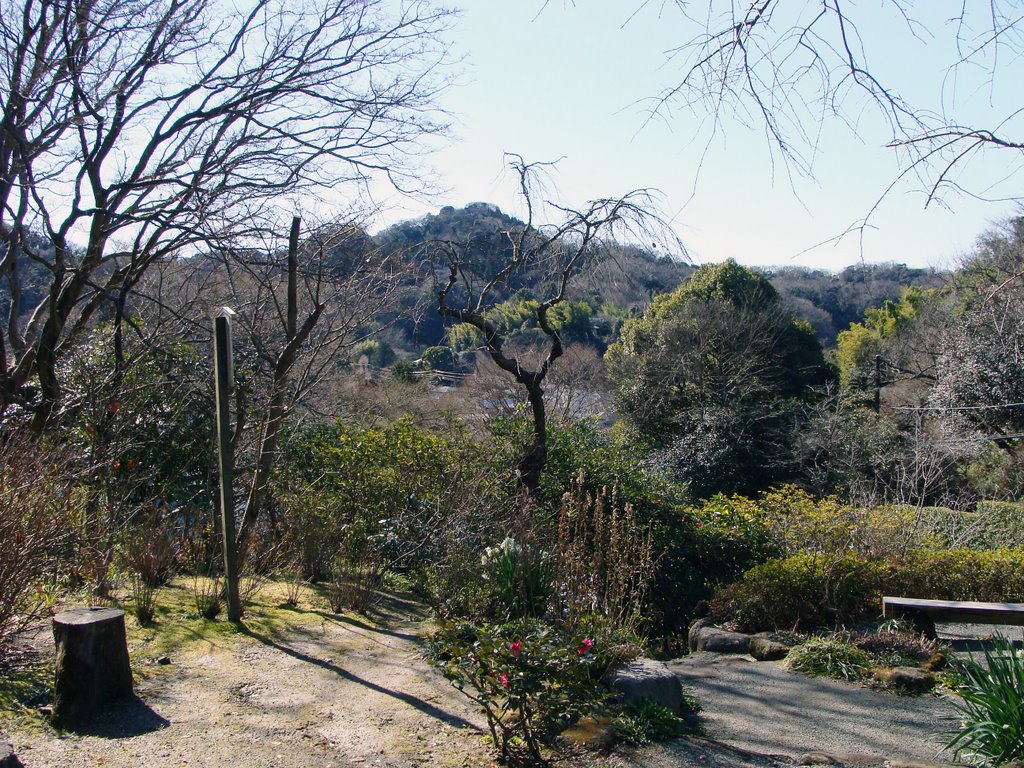 浄妙禅寺 by Ishiki