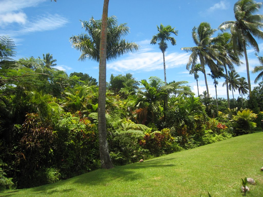 River Drive, Pacific Harbour, Fiji by catlin.wolfard