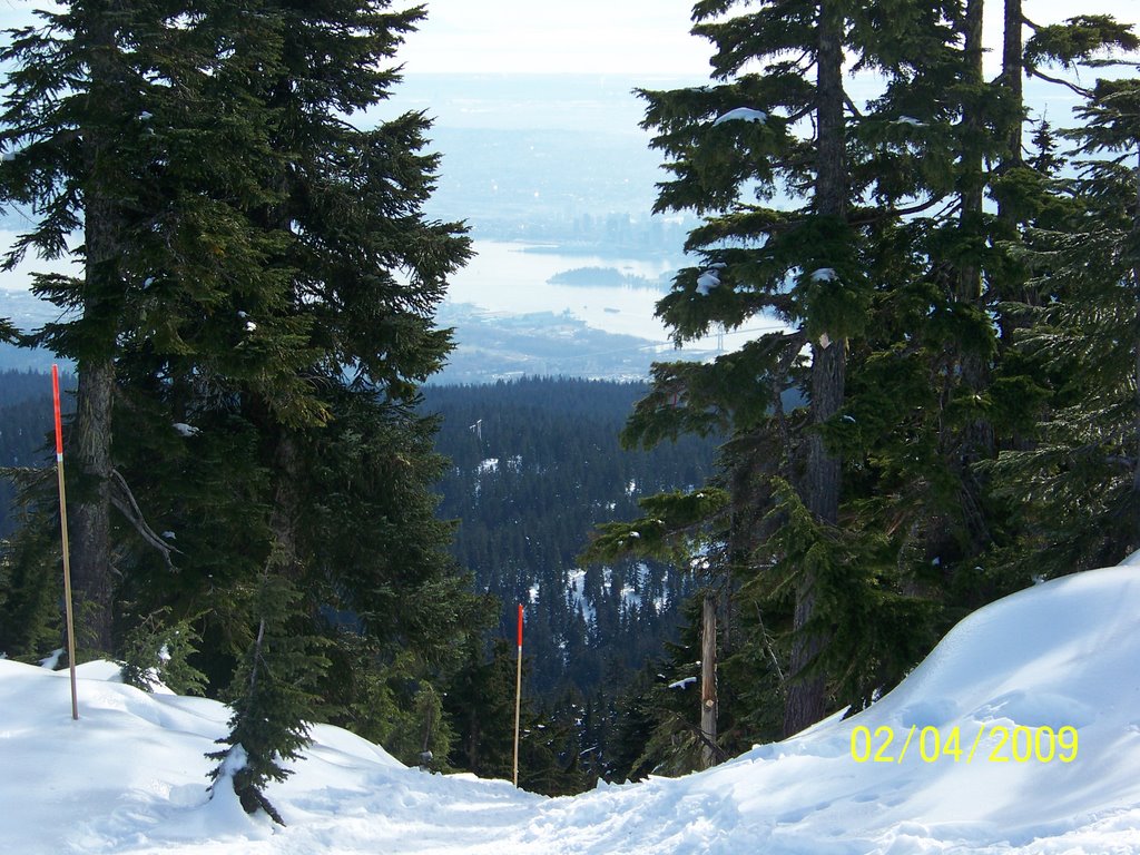 Viewing Burrard Inlet by Wester Van