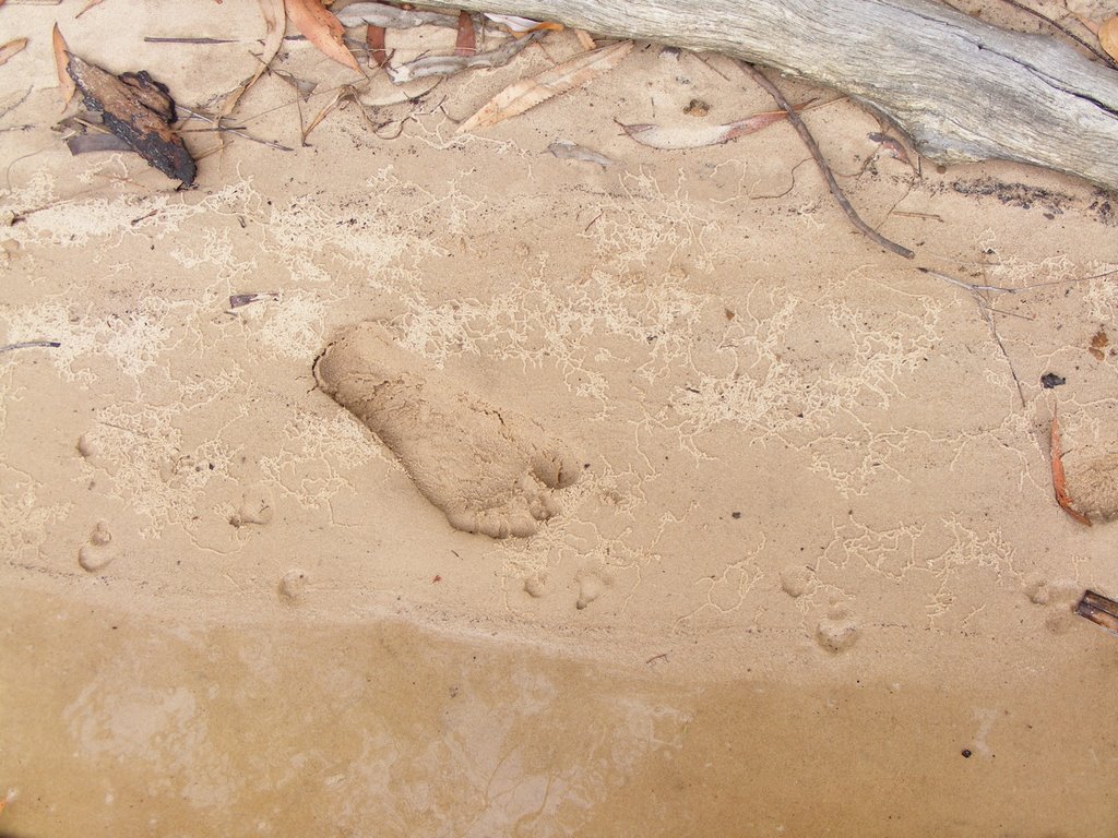 I leave my footprint in the sand..to show my visit to this lovely place...soon to be washed away..and no one else will ever know I was here... by scml