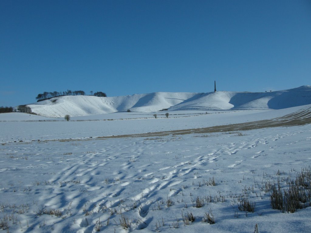 Lansdowne Monument to Sir William Petty and the Cherhill White Horse - 7 Feb 2009 by MaxFarrar