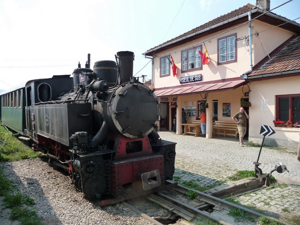 Dampfbahn in Viseu de sus by cheffy