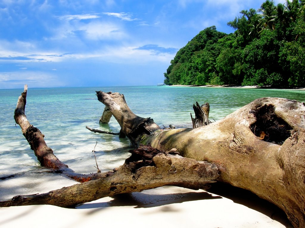 The beach by Mauro SERAFINI