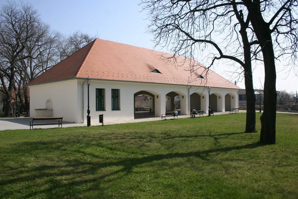 Coutyard of Hungarian Geographical Museum - Érd, Hungary by MBagyinszky