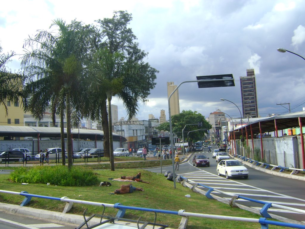 Centro - uma linha verde na Selva de Pedra - no jardim moradores de rua, serio problema social by Alexander Denarelli