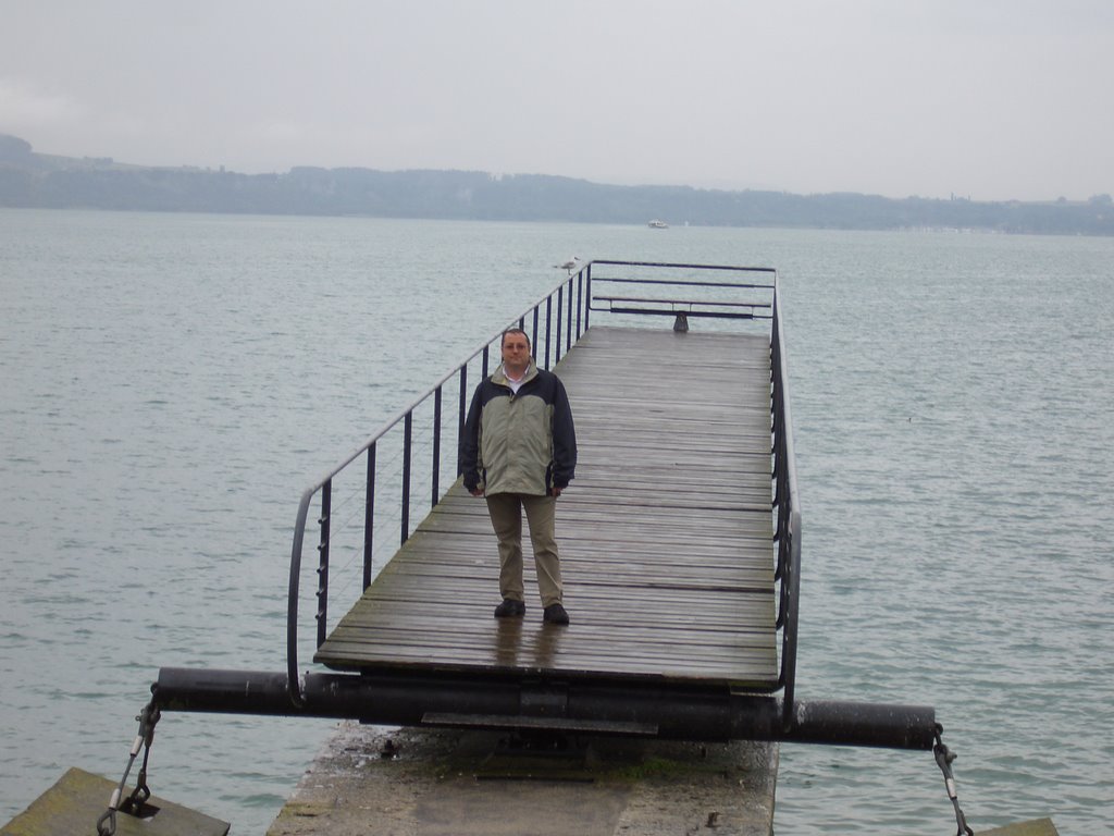 Bouncy Bridge, Neuchatel by fahys71