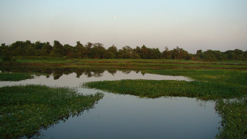 Cánh Đồng Chiều by Nhựt Trịnh Minh