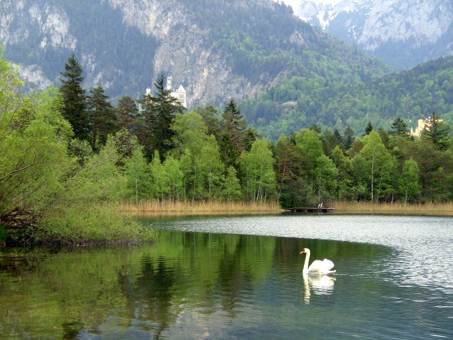 Schwansee mit Schlöser u. Schwan by FrEiKF