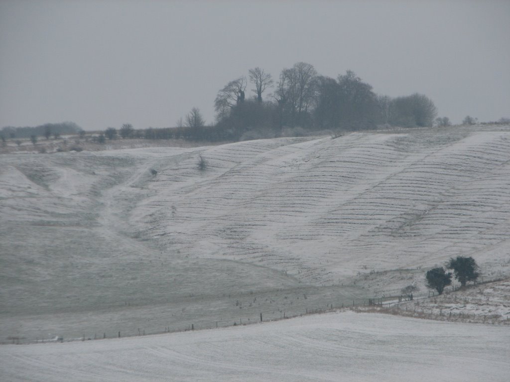 Snowy Combes 3 by Phil Bunce