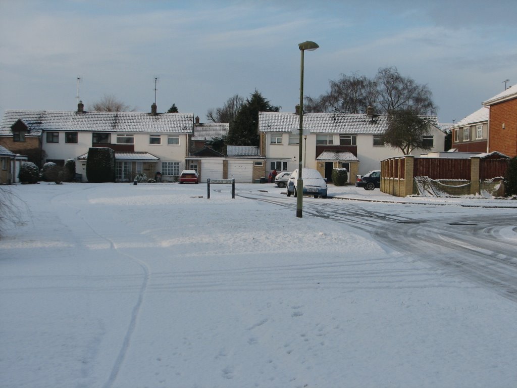 Snowy Cowleaze Close 2 by Phil Bunce