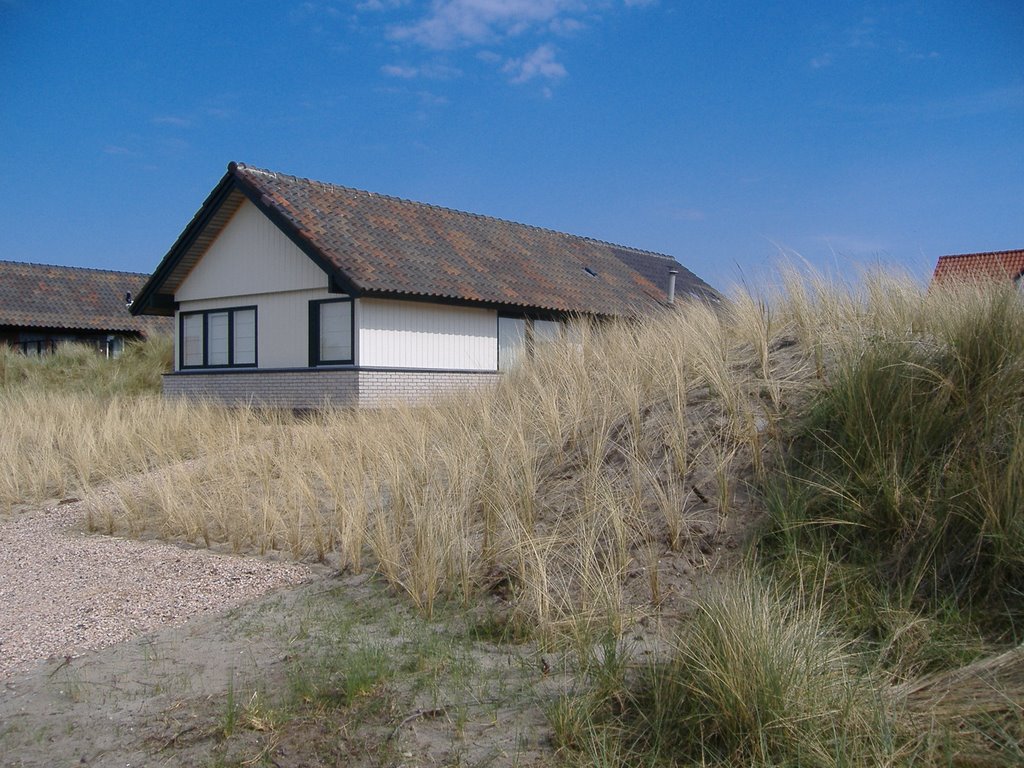 Terschelling, Midsland aan Zee (June 2008) by speedy17