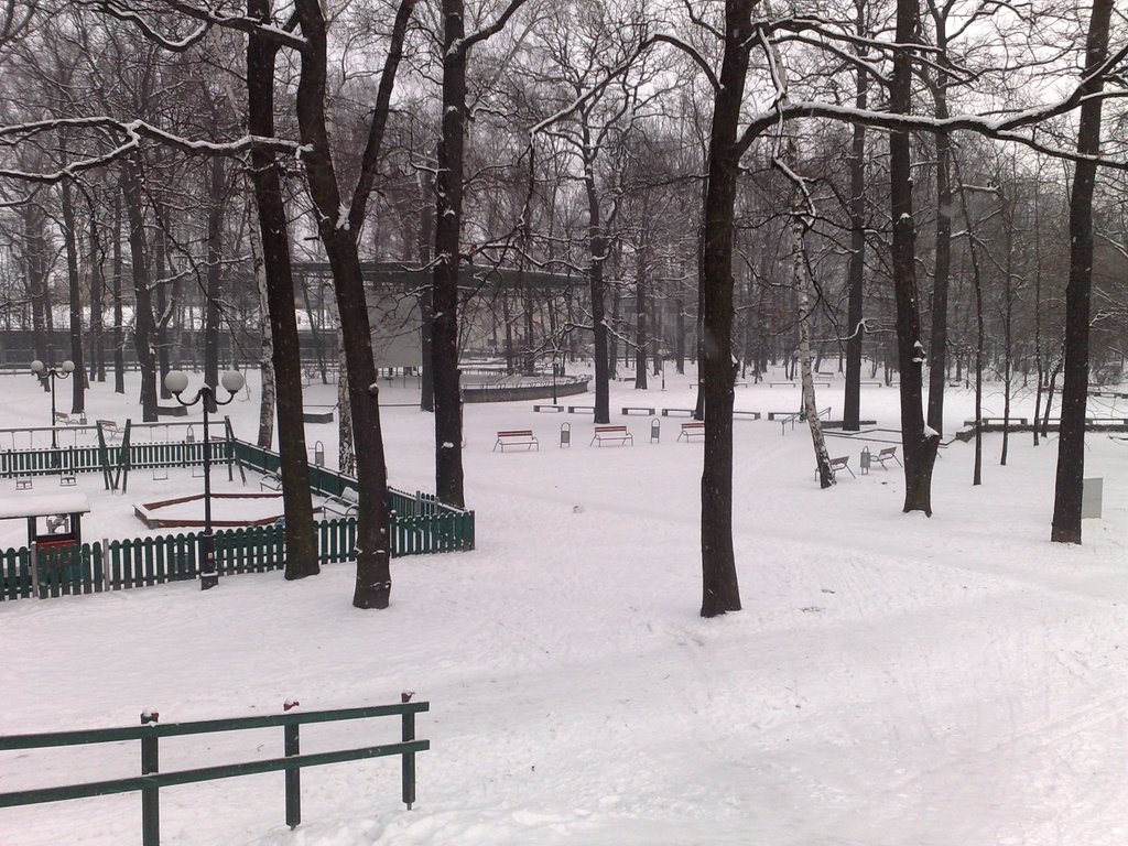 Park In Winter by Daniel Bielecki