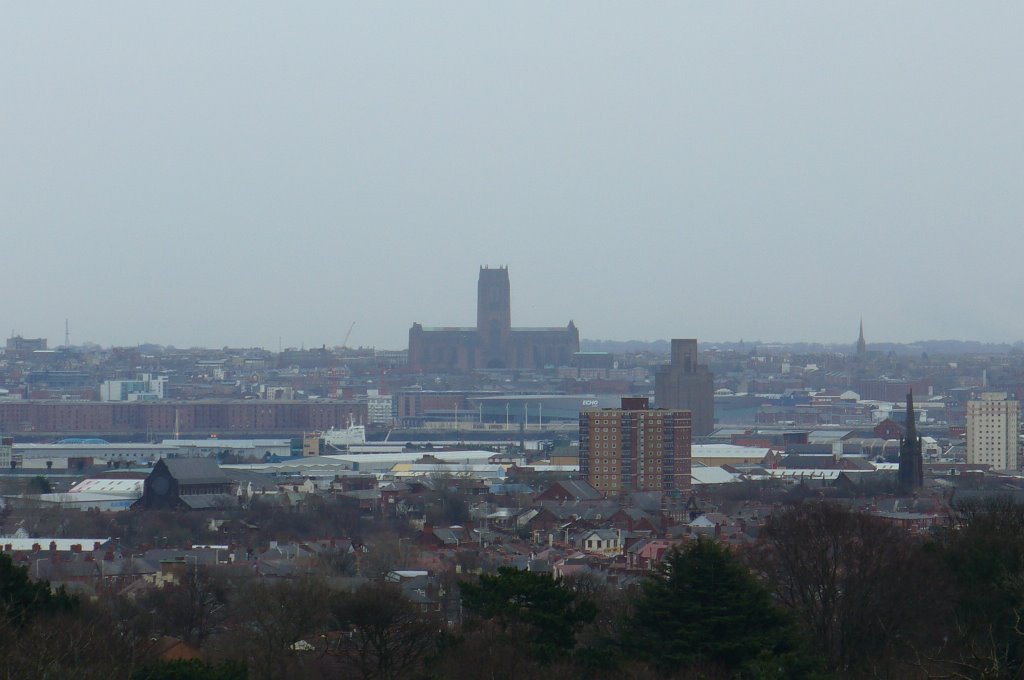 Liverpool Cathedral from Bidston Hill by gbr1