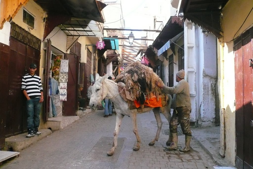 Medina, Fes, Morocco by sylviamagyar