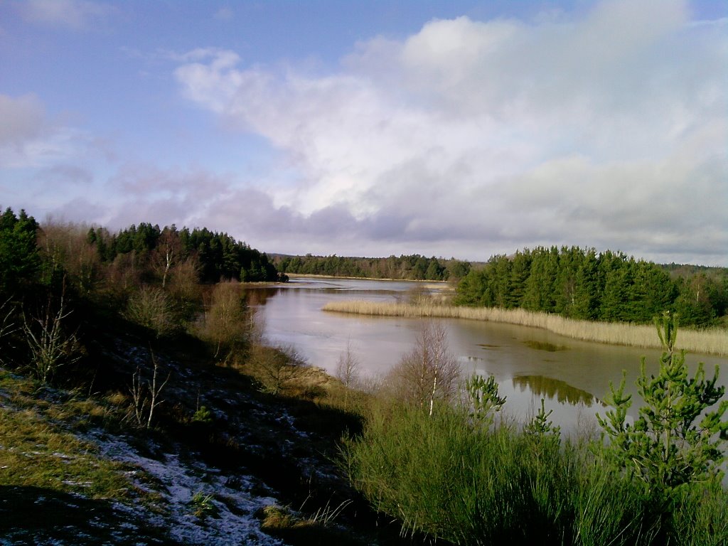 Søby brunkulslejer by Vilius Asbjørn Lyby …