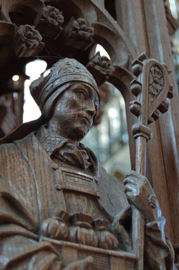 Wooden bishop by rafal.matula