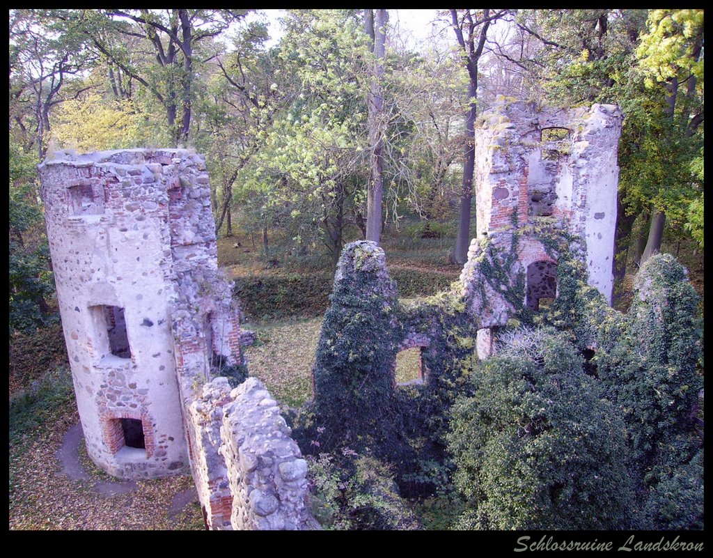 Schlossruine Landskron by Winfried Vokrap