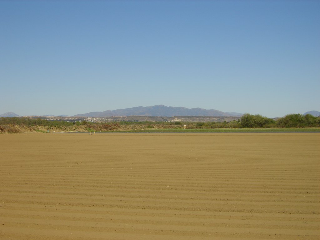 Tijuana River Valley Farmland by ejstowe