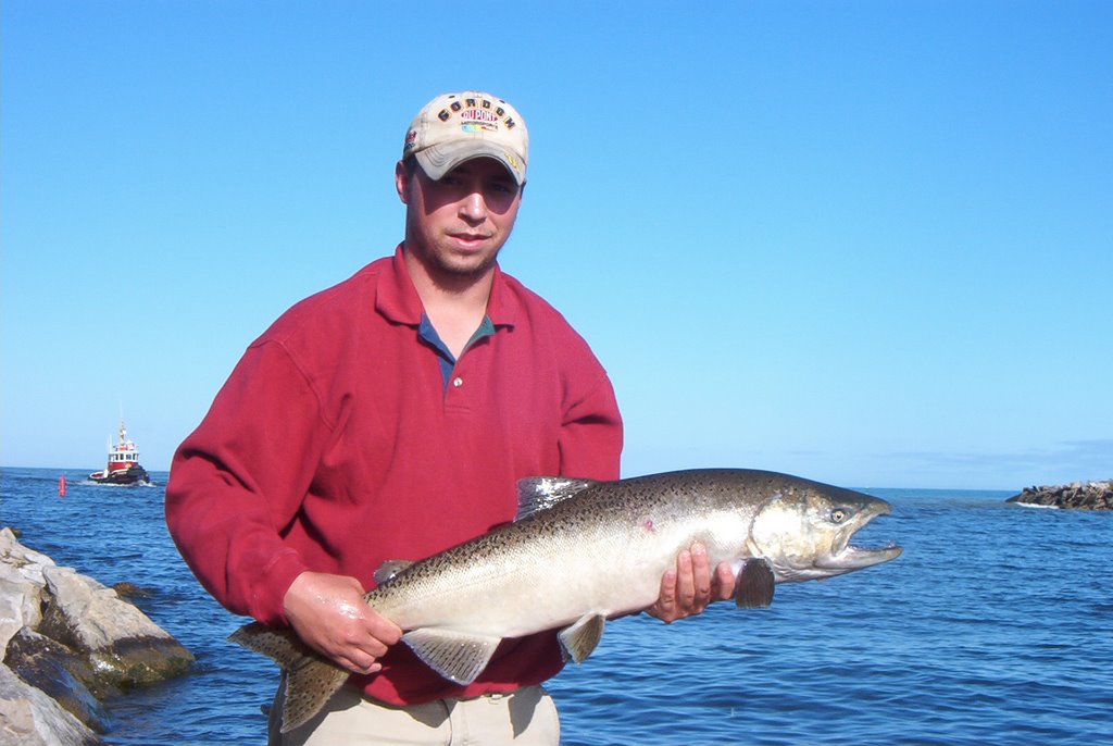 Salmon at Godrich by darryljackson