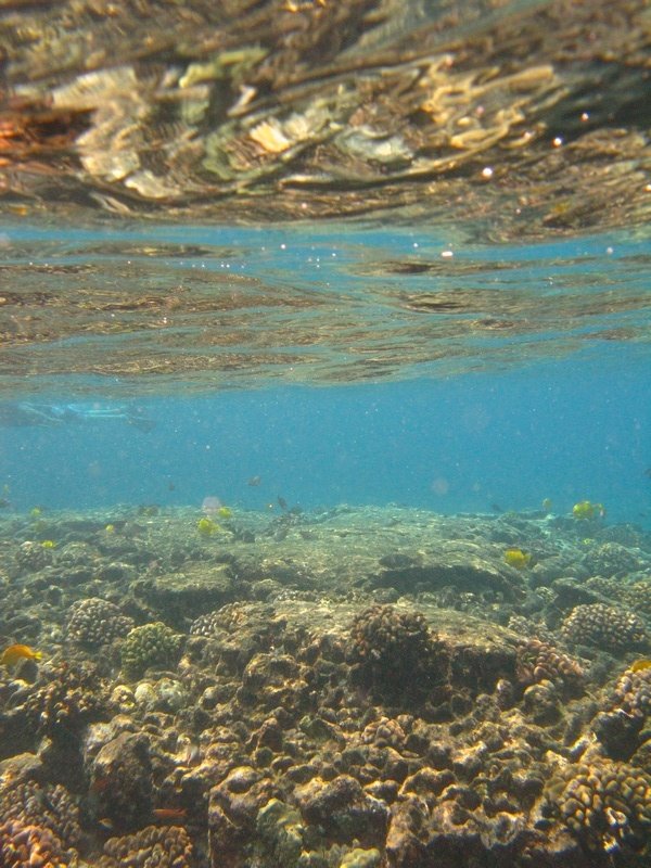 South Kona, HI, USA by foti1982