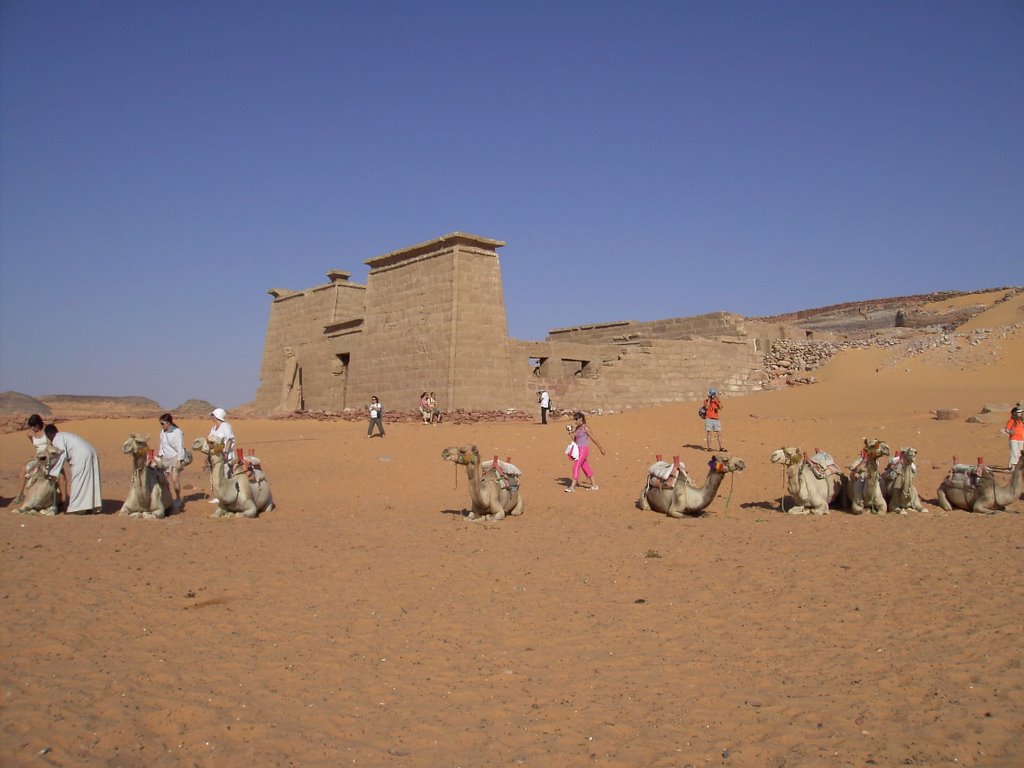 Camello en Wadi el Sebua by Pascual Asensio Sánc…