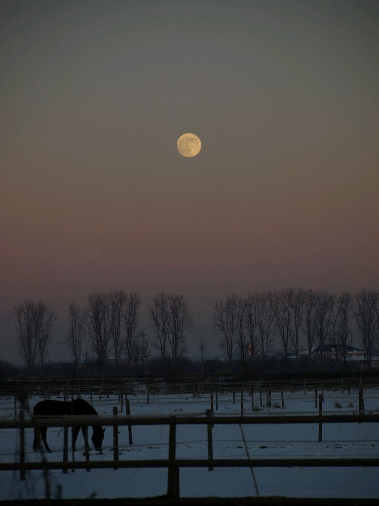 Mond - Blick von Ahrem Richtung Liblar by Eifelmichel