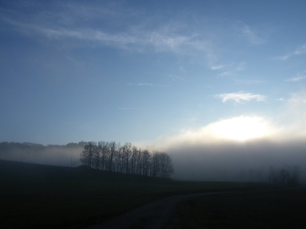 Ancora qualcosa dalla nebbia by Alberto Quagliaroli CM