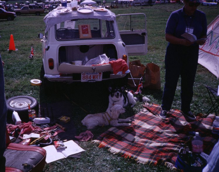 British Invaision - Picnic Contest by OkPhoto