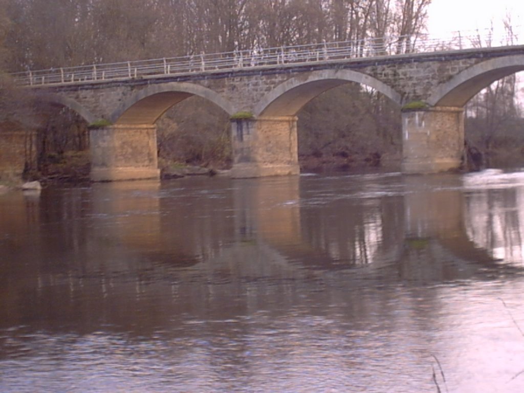 El puente de Sitrama sobre el río Tera by sitrama