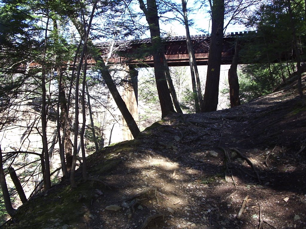 View of the Rail Bridge by stacconi