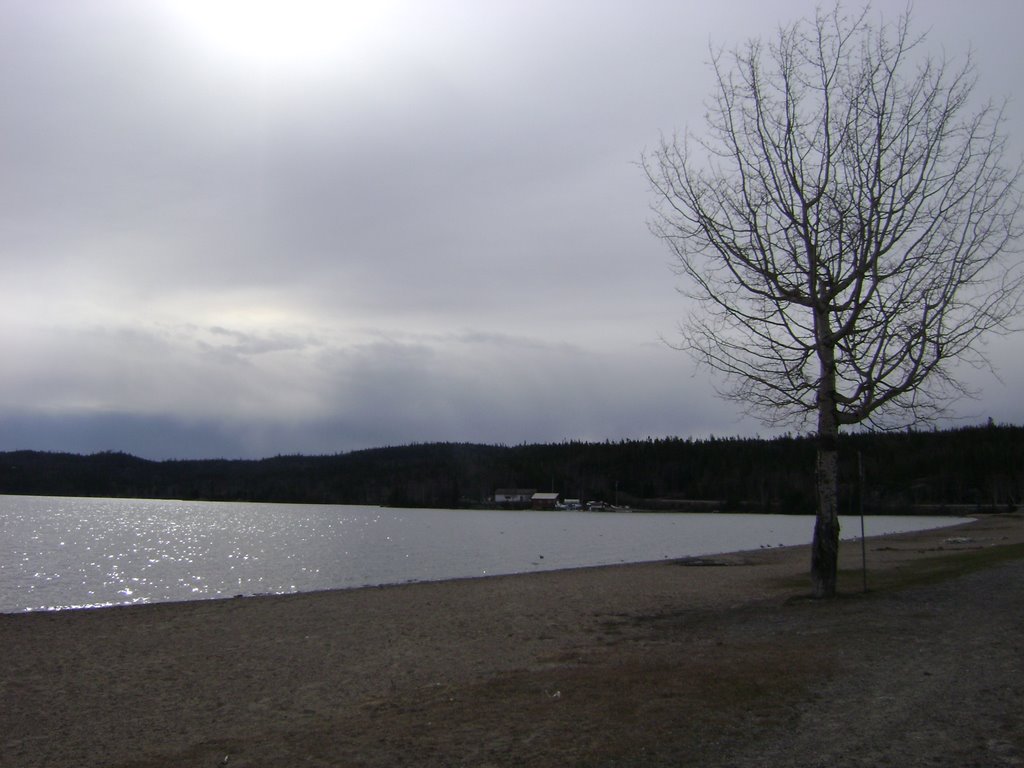 Lake Wawa Beach by TreePlanter