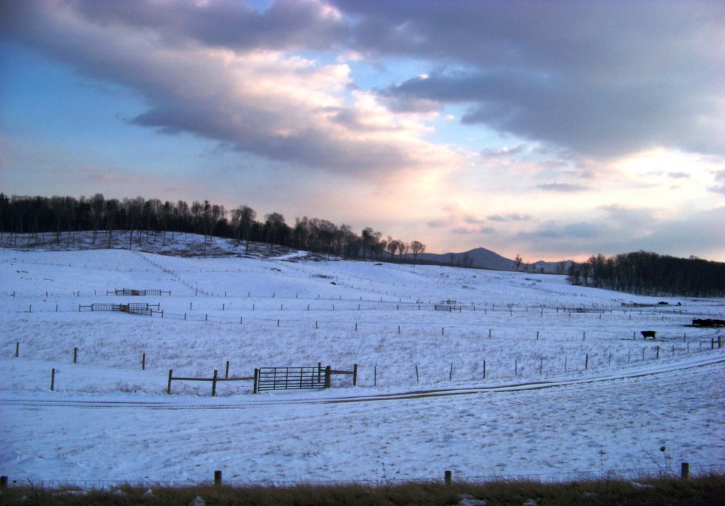 Virginia Tech - McCormick Farm by Idawriter