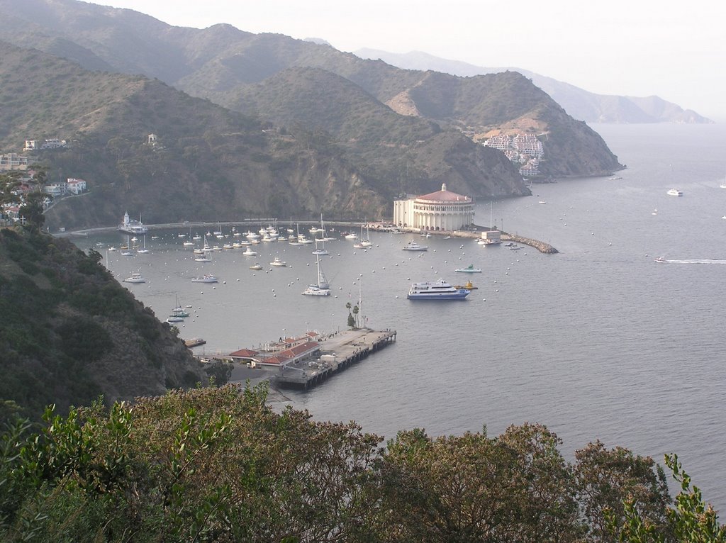 Catalina Island California Avalon by mills1973