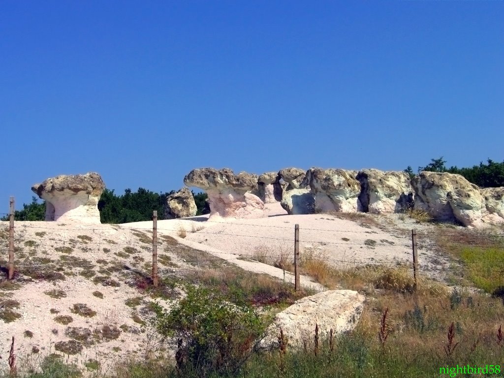 Rock mushroom-village Beli plast - каменни гъби с.Бели пласт by nightbird58