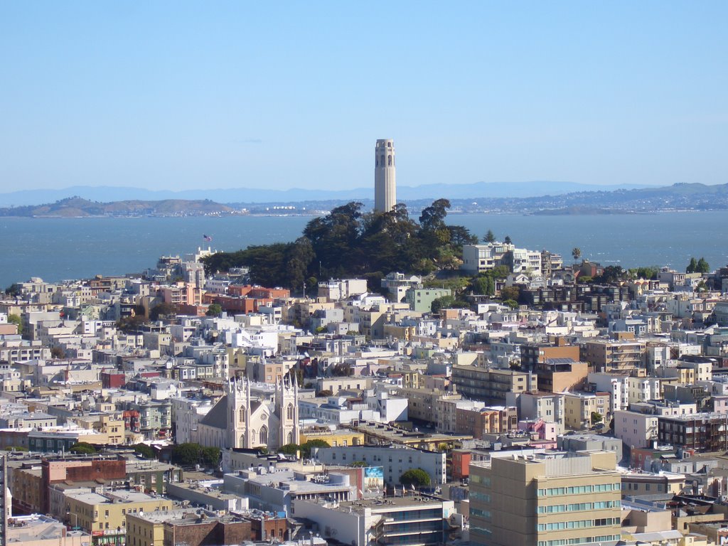 View of Coit Tower by fahys71