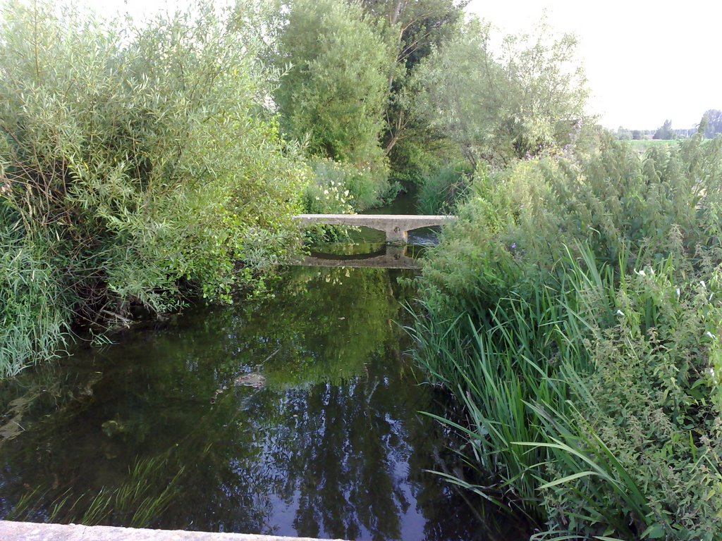 PUENTE VIEJO DE LA PRESA by QUILI.G.R.