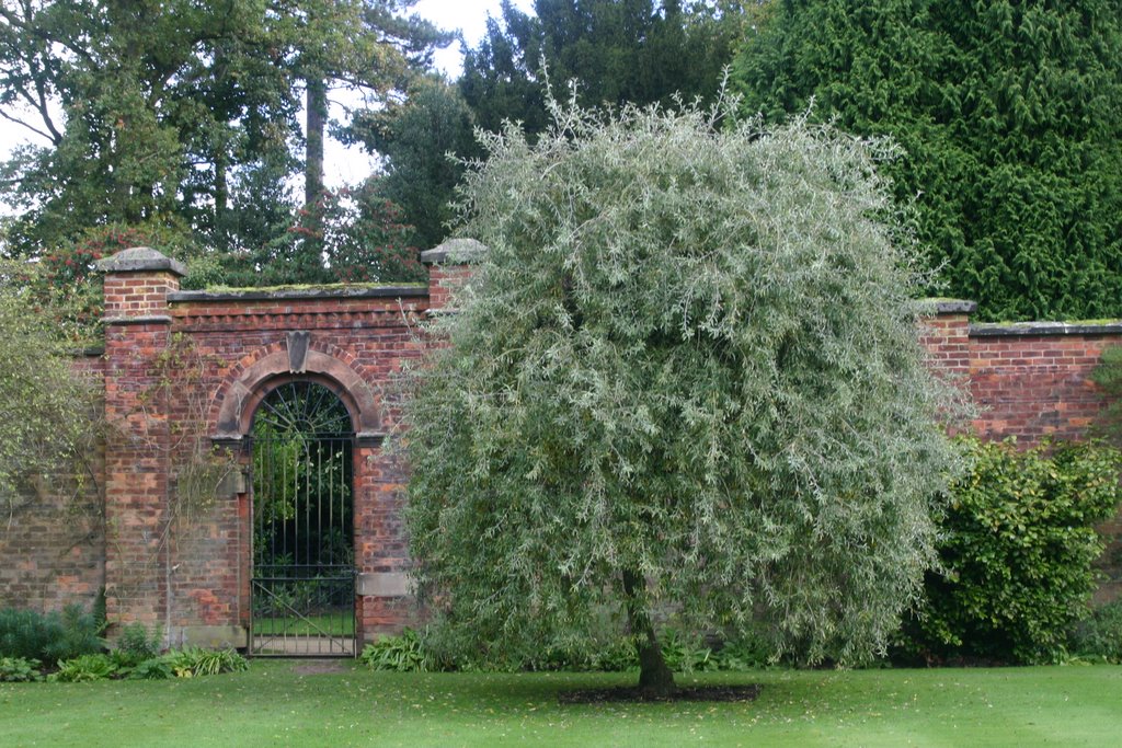 Walled Garden at Hare Hill NT by maggiesman