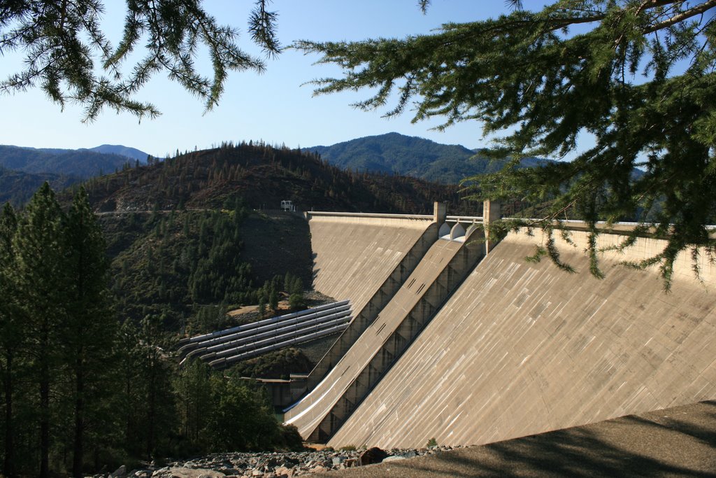 Shasta Dam by saxxon