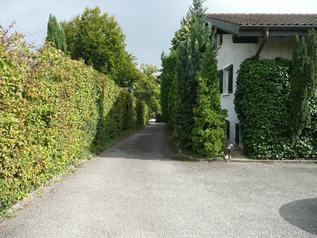 Chemin des Vigie Tannay Switzerland by Tannay Vaud