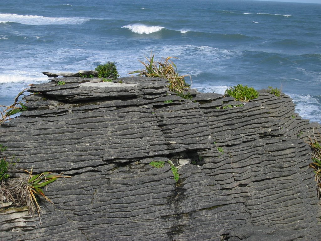 Pancake Rocks, Dolomite Point Walk, Punakaiki by Martin Zustak