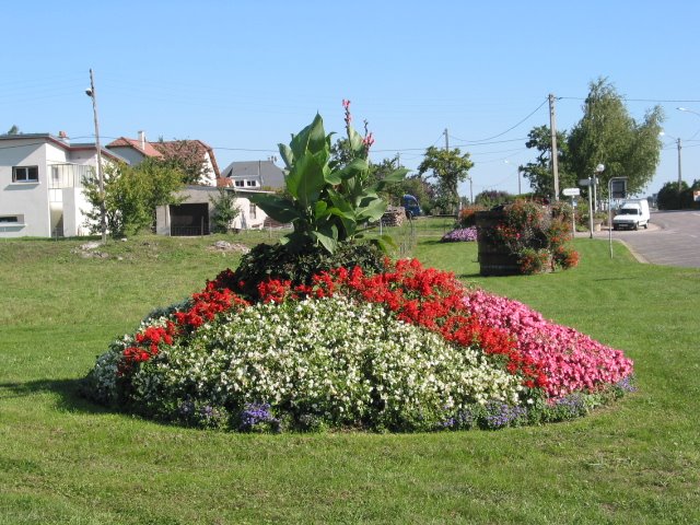 Fleurs Grandmenil Ecrouves by Ecrouves