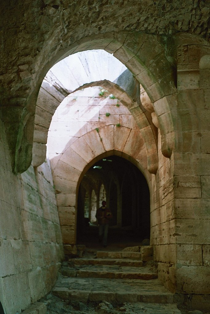 Calleja de Hama by José M. Cantelar