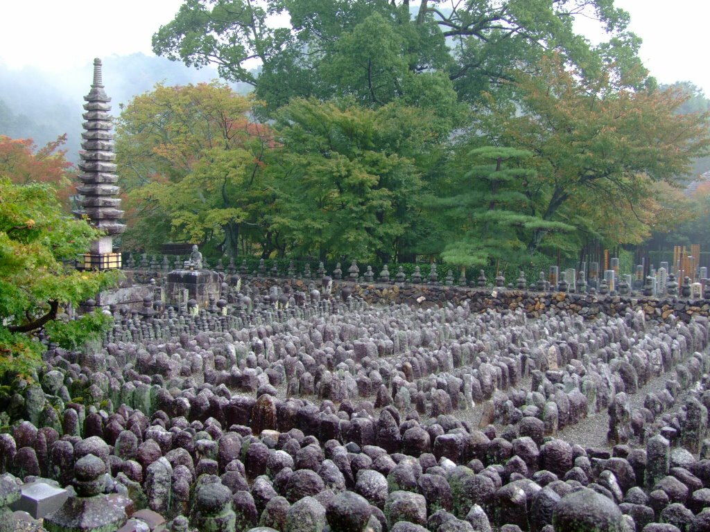 Adashino Nenbutsu-ji by Cătălin Nenciu