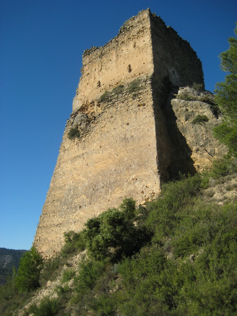 Castell de Benifallim by Sergi Català Oltra