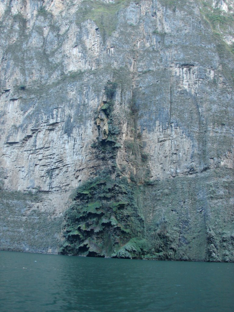 Canyon de Sumidero Sapin by togaff