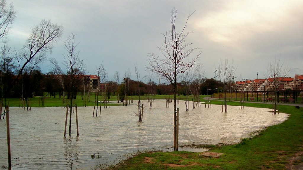 Parque fluvial. Viesques. by ljrozas