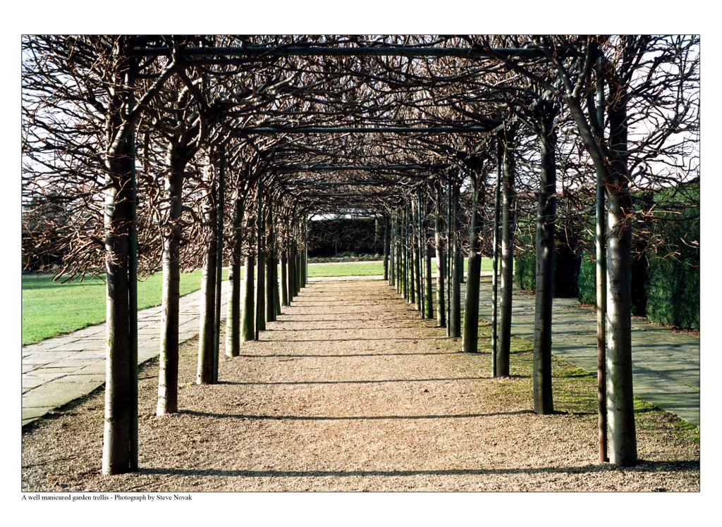 A well manicured garden trellis by stevenovak