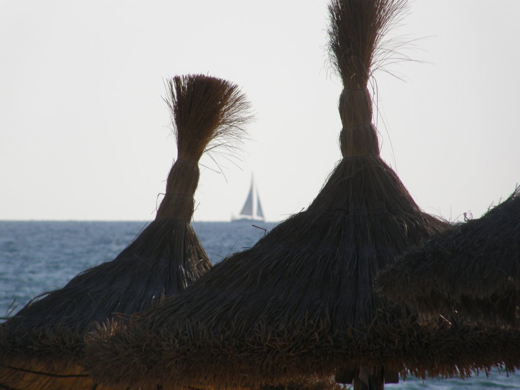 Sombrillas en la Playa de Palma by carloscba