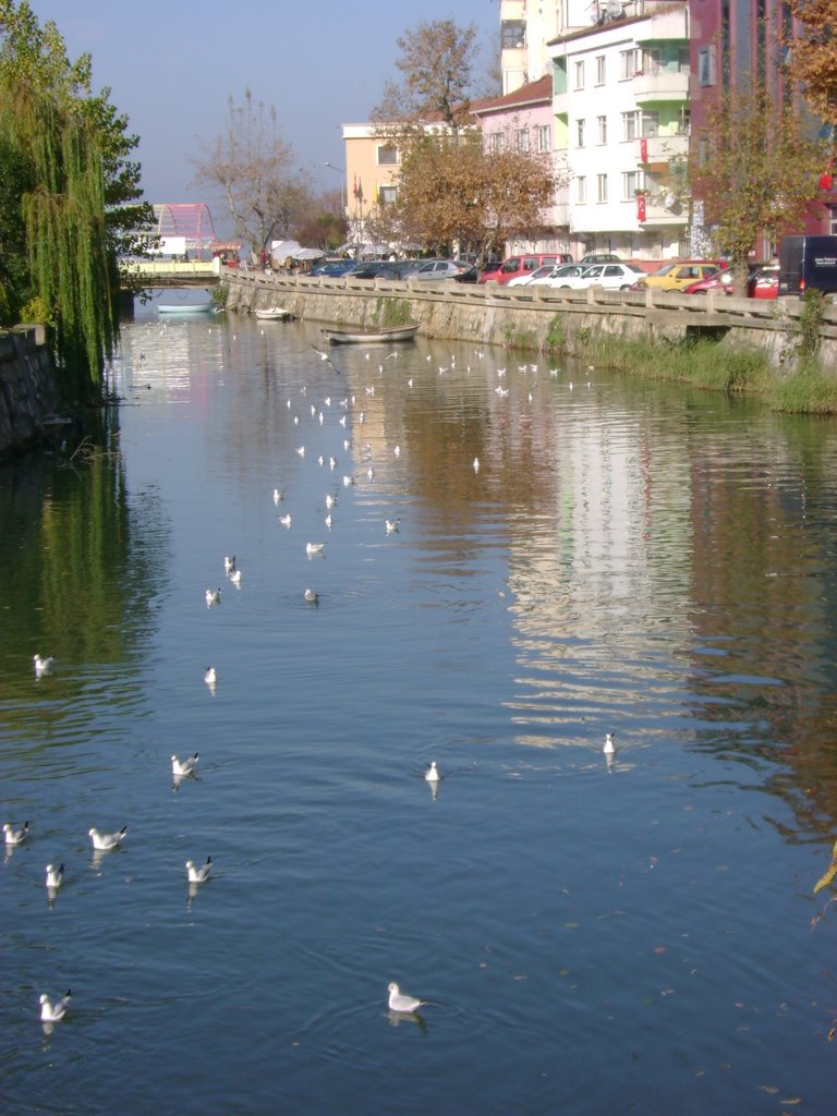 Yalova Köprüden by mahmutkuzu