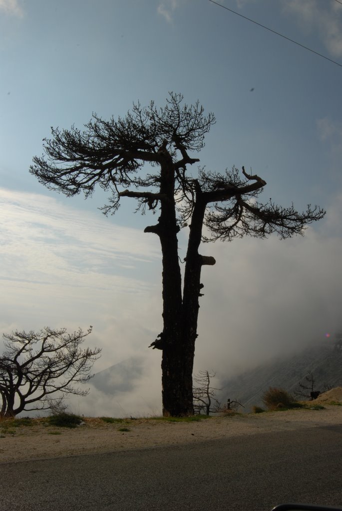 Vlorë County, Albania by mario-969